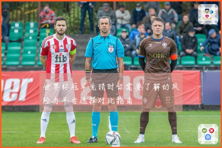 世界杯冠军竞猜时你需要了解的风险与平台选择对比指南