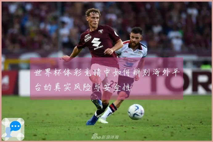 世界杯体彩竞猜中如何辨别海外平台的真实风险与安全性