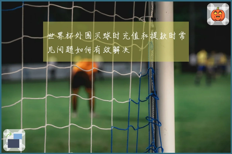 世界杯外围买球时充值和提款时常见问题如何有效解决