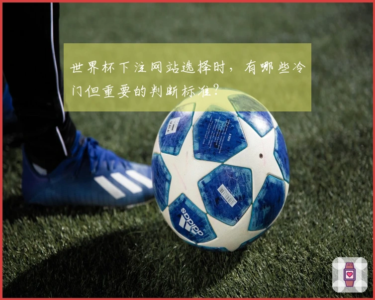 世界杯下注网站选择时，有哪些冷门但重要的判断标准？