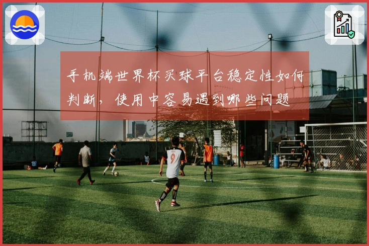 手机端世界杯买球平台稳定性如何判断，使用中容易遇到哪些问题