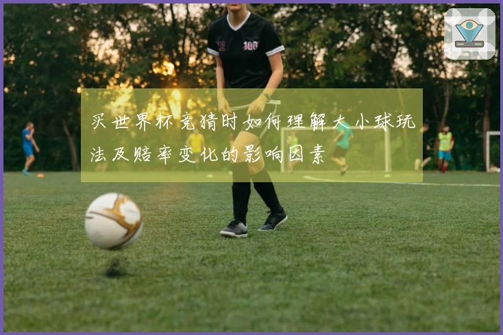 买世界杯竞猜时如何理解大小球玩法及赔率变化的影响因素