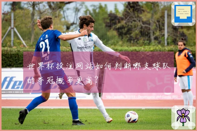 世界杯投注网站如何判断哪支球队的夺冠概率更高？