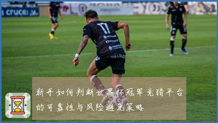 新手如何判断世界杯冠军竞猜平台的可靠性与风险避免策略