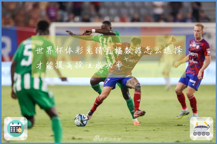 世界杯体彩竞猜直播数据怎么选择才能提高投注成功率