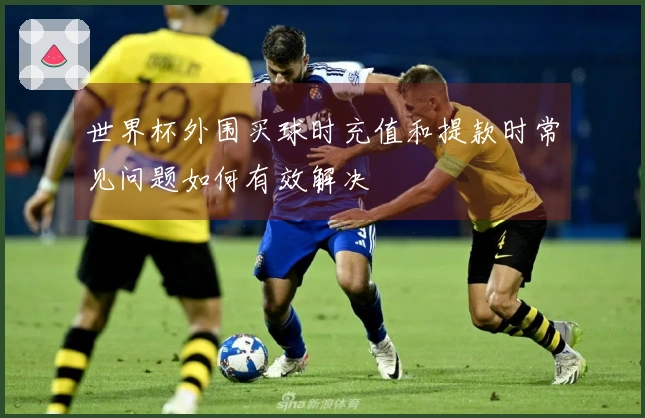 世界杯外围买球时充值和提款时常见问题如何有效解决