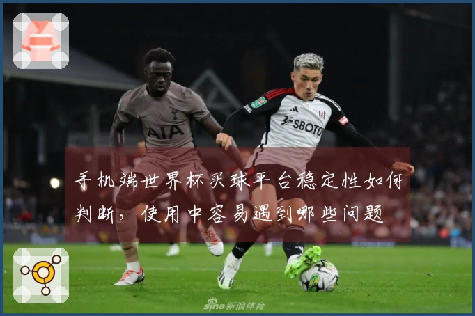手机端世界杯买球平台稳定性如何判断，使用中容易遇到哪些问题
