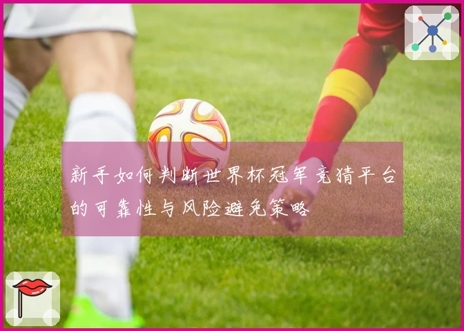 新手如何判断世界杯冠军竞猜平台的可靠性与风险避免策略