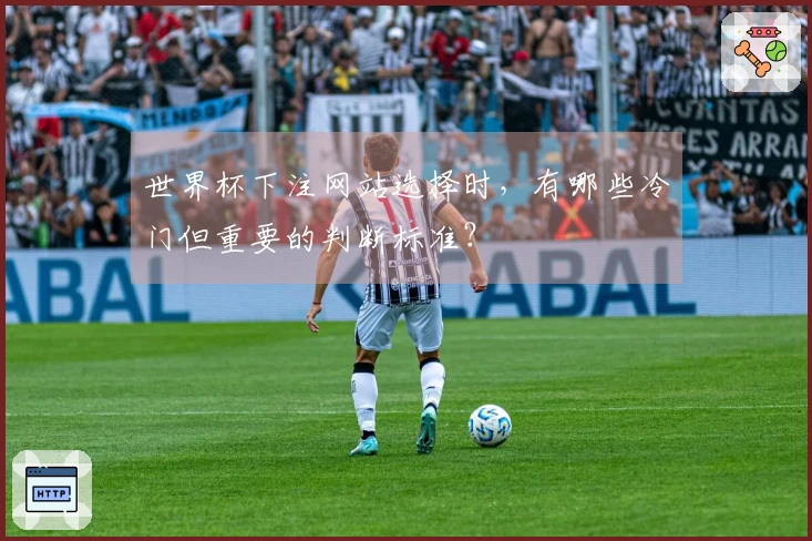 世界杯下注网站选择时，有哪些冷门但重要的判断标准？